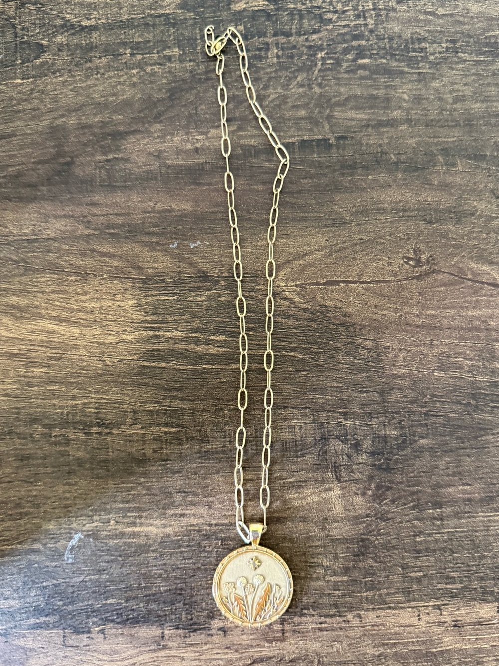 Jane Win WANDERLUST Gold Pendant Coin Necklace w/ Drawn Link Chain - Picture 2 of 4